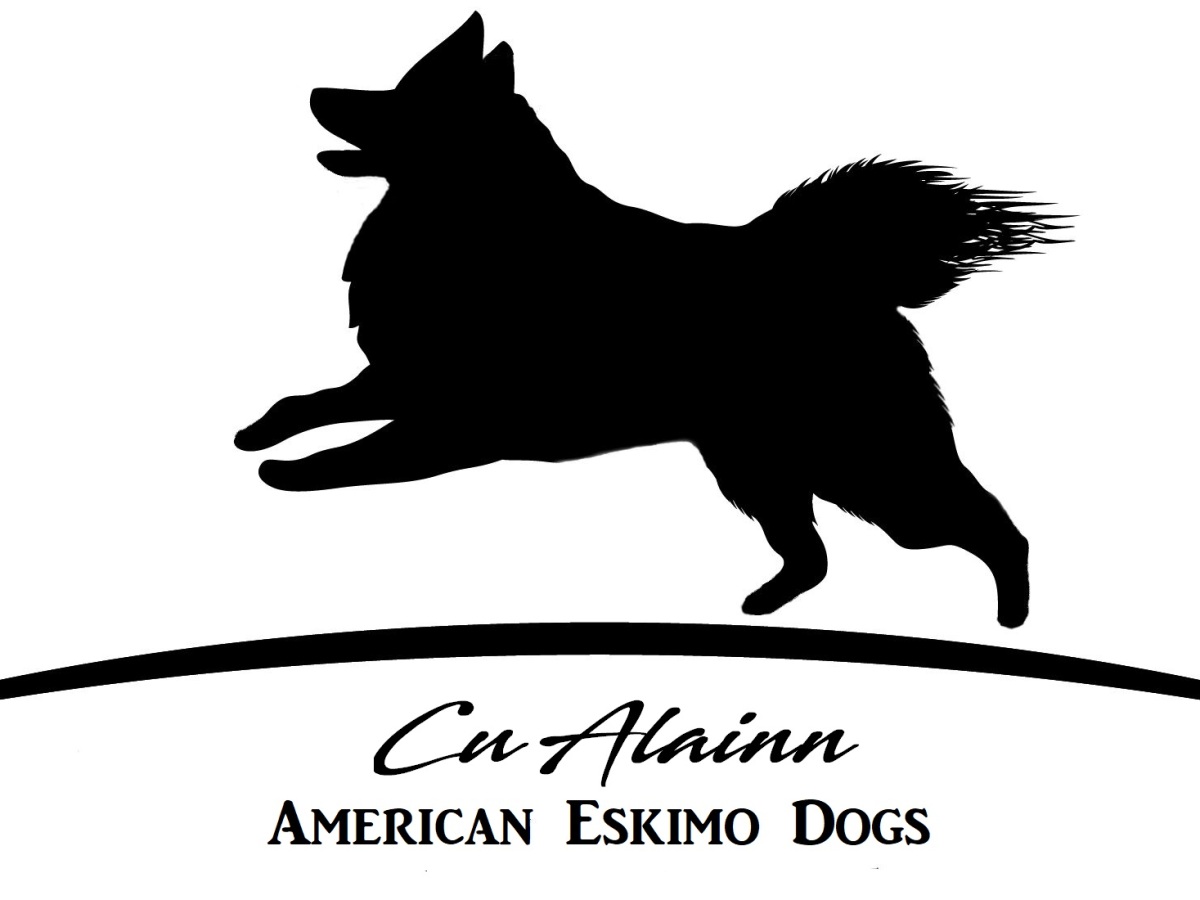 Cu Alainn American Eskimo Dogs